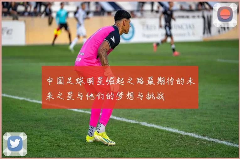 中国足球明星崛起之路最期待的未来之星与他们的梦想与挑战
