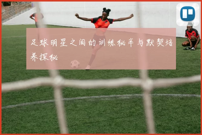 足球明星之间的训练秘辛与默契培养探秘