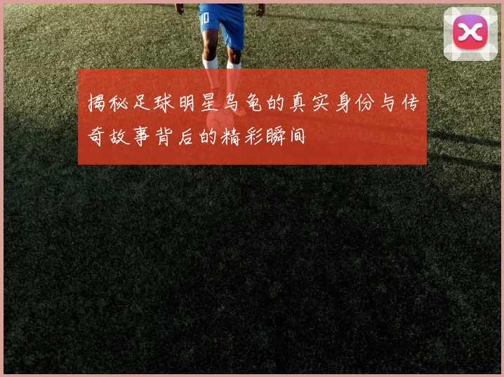 揭秘足球明星乌龟的真实身份与传奇故事背后的精彩瞬间