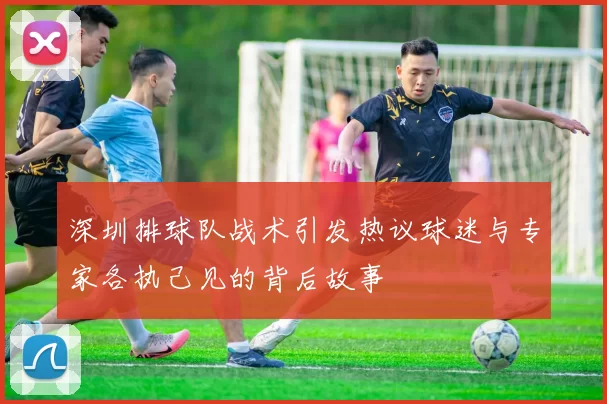 深圳排球队战术引发热议球迷与专家各执己见的背后故事