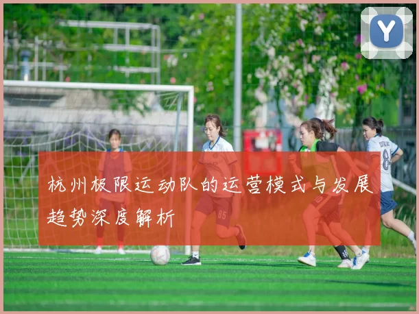 杭州极限运动队的运营模式与发展趋势深度解析