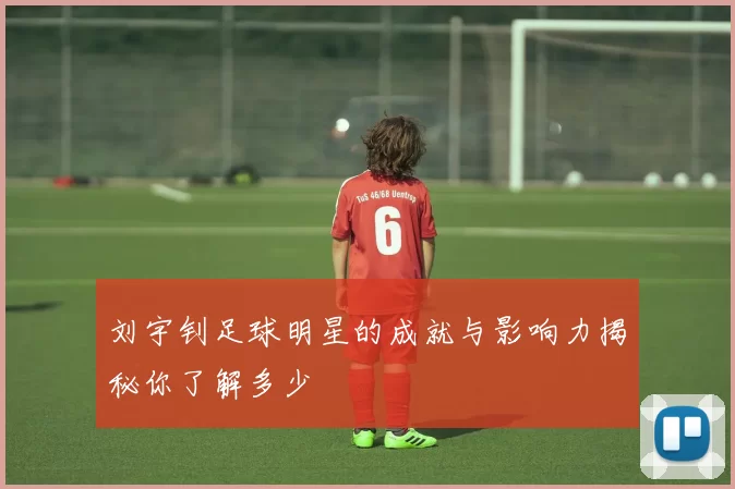 刘宇钊足球明星的成就与影响力揭秘你了解多少