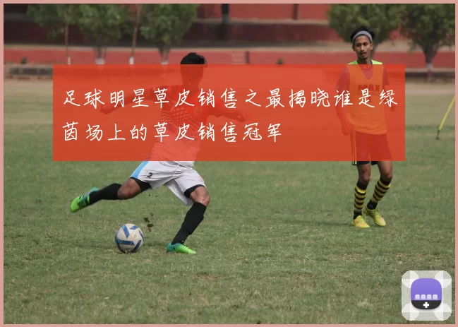 足球明星草皮销售之最揭晓谁是绿茵场上的草皮销售冠军