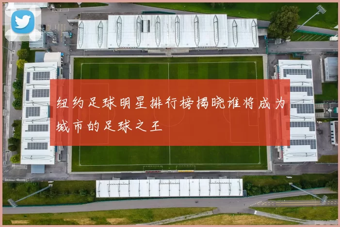 纽约足球明星排行榜揭晓谁将成为城市的足球之王
