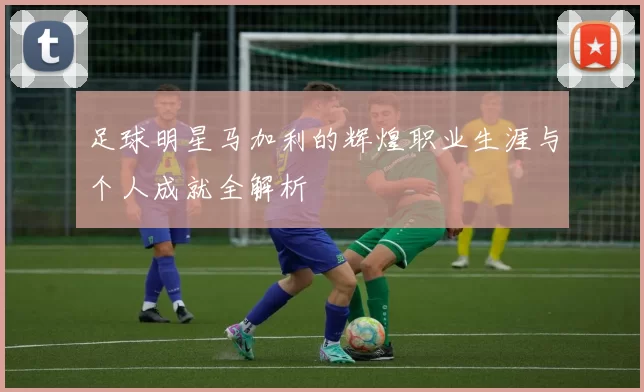 足球明星马加利的辉煌职业生涯与个人成就全解析
