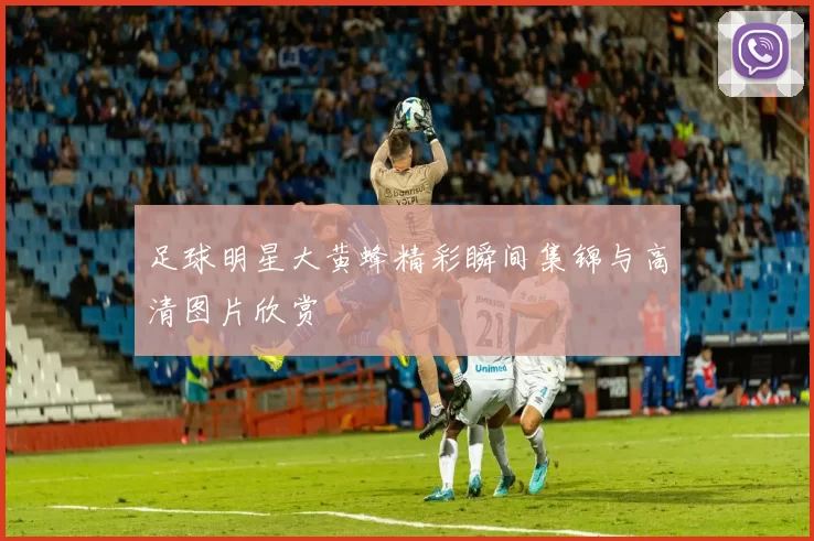 足球明星大黄蜂精彩瞬间集锦与高清图片欣赏