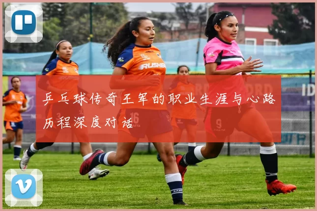 乒乓球传奇王军的职业生涯与心路历程深度对话