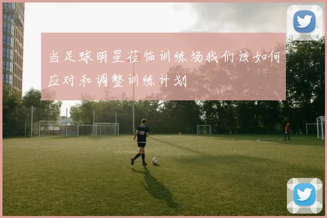 当足球明星莅临训练场我们该如何应对和调整训练计划