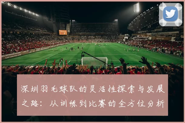 深圳羽毛球队的灵活性探索与发展之路：从训练到比赛的全方位分析