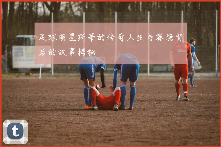 足球明星斯蒂的传奇人生与赛场背后的故事揭秘