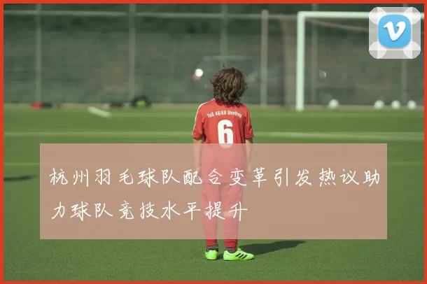 杭州羽毛球队配合变革引发热议助力球队竞技水平提升
